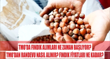 TMO'da Fındık Alımları Ne Zaman Başlıyor? TMO'dan Randevu Nasıl Alınır? Fındık Fiyatları Ne Kadar?