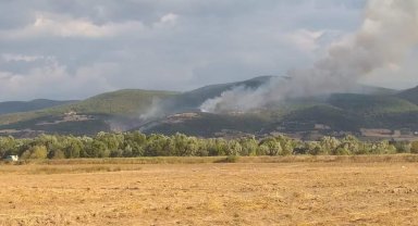 Tokat'ta 20 dönüm ormanlık alan kül oldu