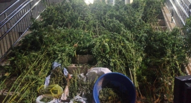 Tost büfesinde zehir zulası ele geçirildi