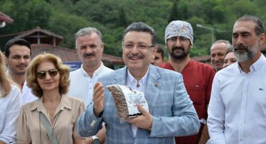 Trabzon'da sahipsiz köpek sorunu çözülecek