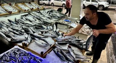 Balık tezgahları bereketlendi: Palamut, hamsi ve çinekop bolluğu yaşanıyor!