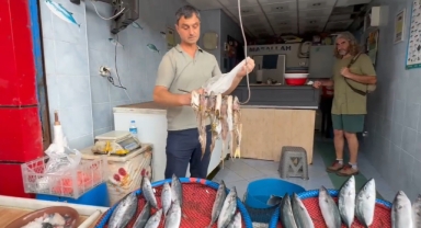 Balıkçının tezgahını koruma yöntemi şaşırttı! Arıların göz hakkını ayırdı