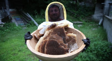 Coğrafi işaret tescilli Ayder balında hasat mesaisi başladı… Kilogramı kaç liradan satışa sunulacak?