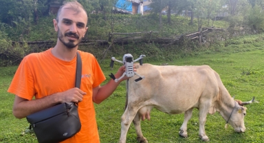 Drona çobanlık yaptırıyor