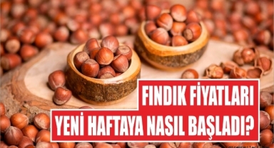 Fındık fiyatları yeni haftaya nasıl başladı? Fındık fiyatları ne kadar?