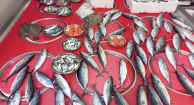Giresun’da balık fiyatları bugün ne kadar?