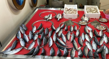 Giresun’da balık fiyatları bugün ne kadar?