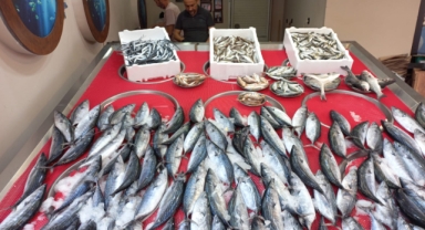 Giresun’da balık fiyatları bugün ne kadar?