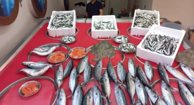 Giresun'da balık fiyatları kaç TL? Palamut ne kadara satılıyor?