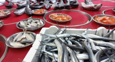 Giresun'da balık fiyatları kaç TL? Palamut ne kadara satılıyor?