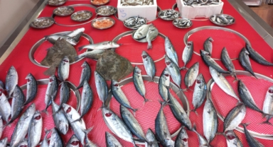 Giresun’da balık fiyatları ne kadar?