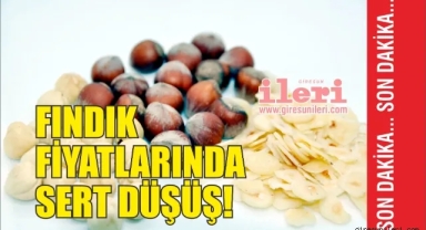 Giresun’da fındık fiyatlarında sert düşüş! Fındık fiyatları bugün ne kadar?