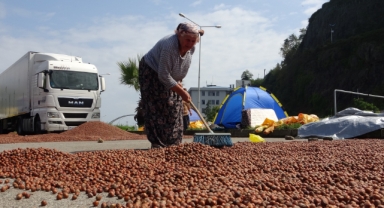 Giresun’da fındık hem randıman hem de rekolte olarak üreticiyi yanılttı