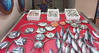 Giresun’da güncel balık fiyatları ne kadar?