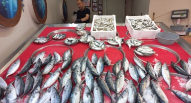 Giresun’da güncel balık fiyatları ne kadar?