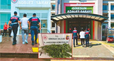 Giresun'da operasyon üzerine operasyon! Uyuşturucu, hırsızlık, firar, kişisel verilerin ihlali… Ne arasan var!