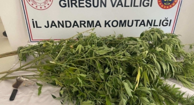 Giresun’da uyuşturucu operasyonu