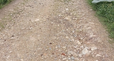 Giresun Hamidiye Köyü sakinlerinden yetkililere çağrı!