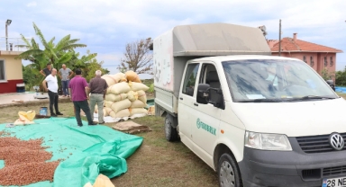 Giresun merkezli o kurum, bütün fındığa talipli!