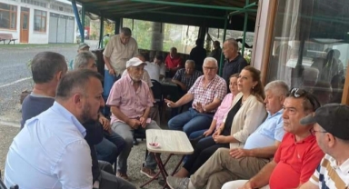 Giresun Milletvekili Gezmiş: Sorunları çözme gayretinde olacağım