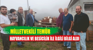 Giresun Milletvekili Temür, hayvancılık ile ilgili bilgiler aldı
