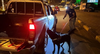 Hassas burunlu köpek Artvin’de zehir tacirlerine geçit vermiyor