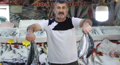 Karadeniz’de balık tezgahları renklendi… Çay parasına balık satılıyor!