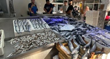 Karadeniz'de palamut bolluğu: Tanesi 80 liraya düştü
