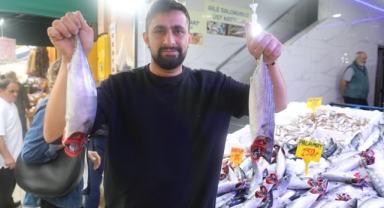 Karadeniz'de Palamut Fiyatları Tırmanışta: Olumsuz Hava Şartları Fiyatları Nasıl Etkiledi?