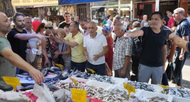 Karadeniz'den palamut fışkırıyor! Kiloluk palamutlar kapış kapış satılıyor