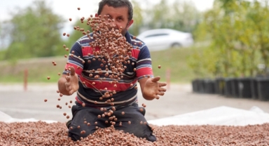 Mahsulünü işlemeyi öğrenen üreticiler fındığa değer katacak