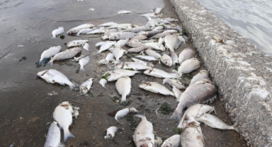 Özgür Özel’e tokat gibi cevap: “Sanırım bizi, denizi foseptik çukuruna çeviren İzmir’le karıştırdı”