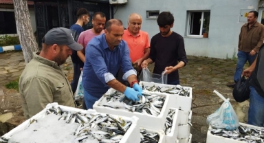 Yasa dışı avlanan 70 kasa balığa el konuldu
