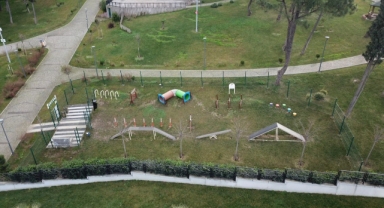Bulancak Belediyesi'nden Müjde; Pati Park Projesi Geliyor!