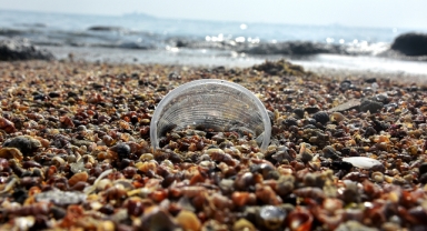 Doğu Karadeniz'deki plastik kirliliğinin boyutu dip çamurunda ortaya çıktı