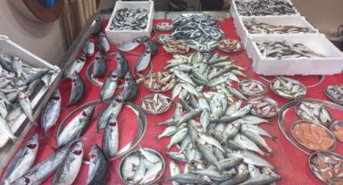 Giresun'da balık fiyatları kaç TL? Palamut ne kadara satılıyor?