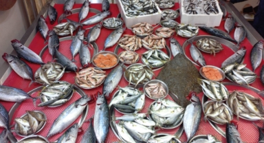 Giresun'da balık fiyatları kaç TL? Palamut ne kadara satılıyor?