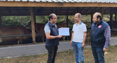 Giresun’da bir ilk! Büyükbaş hayvancılık alanında önemli gelişme