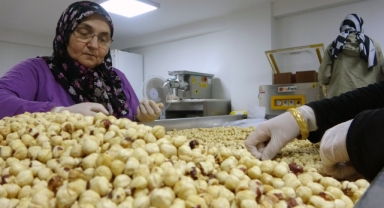 Giresun'da Fındık İşleme Sektöründe 
