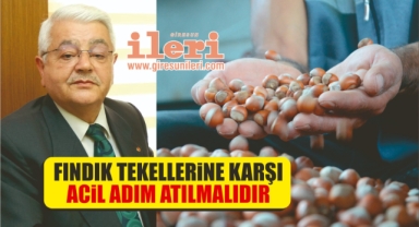 Giresun’da, fındık tekellerine tepkiler artıyor! GZO ve GTB’den sonra MHP’den de tepki geldi