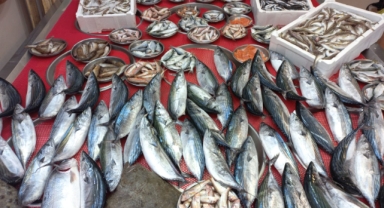Giresun'da güncel balık fiyatları kaç TL?