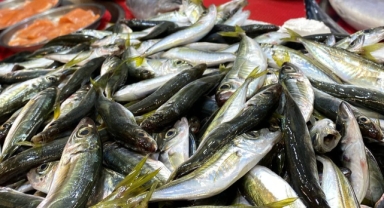 Giresun’da olumsuz hava balıkçıları vurdu!