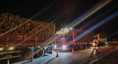 Giresun'da orman ürünleri taşıyan araçlar denetlendi