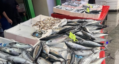 Giresun’da Palamut Bereketi: Balıkçılar palamut avından memnun