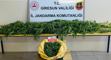 Giresun’da Uyuşturucuya Geçit Yok!