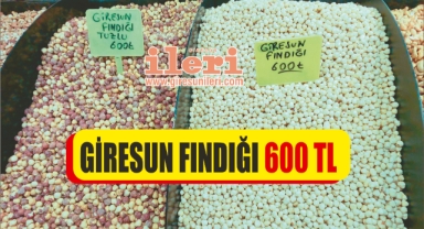 Giresun Fındığı 600 TL!