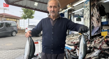 Giresun, Trabzon ve Ordu'da av sezonunun ilk ayında palamut yüz güldürdü