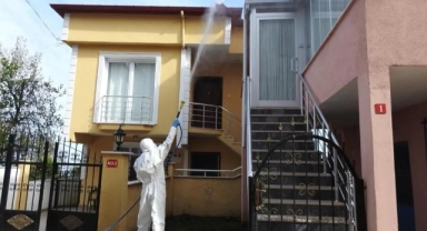 Giresun’un O İlçesinde Kahverengi Kokarca ile Mücadele Çalışmaları Başladı