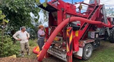 Giresun ve Hitit Üniversiteleri, daha verimli ve kullanışlı patoz üretmek için çalışıyor