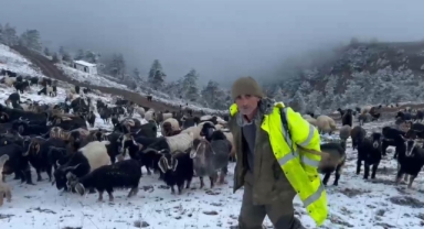 Giresun yaylalarına kar yağdı, çobanlar zorlu dönüş yolculuğuna çıktı